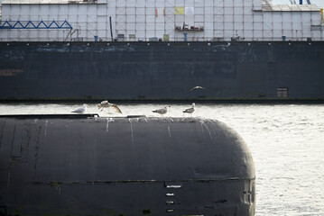 Russian Submarine in the Hamburg Port. Old russian submarine with seagulls at the Hamburg Harbor. Landungsbrücken.
