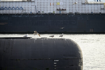 Russian Submarine in the Hamburg Port. Old russian submarine with seagulls at the Hamburg Harbor. Landungsbrücken.