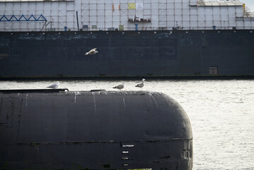 Russian Submarine in the Hamburg Port. Old russian submarine with seagulls at the Hamburg Harbor. Landungsbrücken.