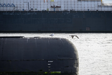 Russian Submarine in the Hamburg Port. Old russian submarine with seagulls at the Hamburg Harbor. Landungsbrücken.