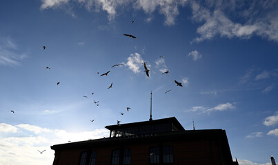 Nautic Vessels, Ships and Buildings at Hamburg Landungsbrücken. Fischauktionshalle. Silhouette.