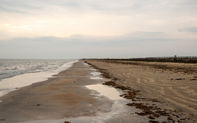Sea Rim State Park in Texas