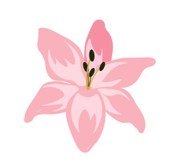 Aesthetic watercolor flower. Pink bloom and blossom plant. Symbol of wedding, part of bouquet. Graphic element for website. Flat vector illustration