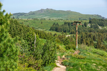 Naklejka premium Landscape of Vitosha Mountain, Bulgaria