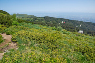 Naklejka premium Landscape of Vitosha Mountain, Bulgaria