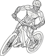 An anatomical illustration of a male cyclist riding a mountain bike, showing the muscular system in action.