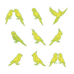 Nine bright yellow outline icons of popular pet birds like budgerigars and cockatiels in various poses vector set.