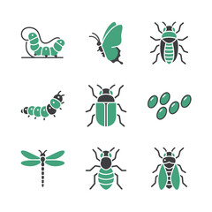 Set of nine green and black insect and bug icons, illustrating life stages and different species vector graphic.