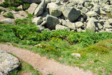 Landscape of Vitosha Mountain, Bulgaria