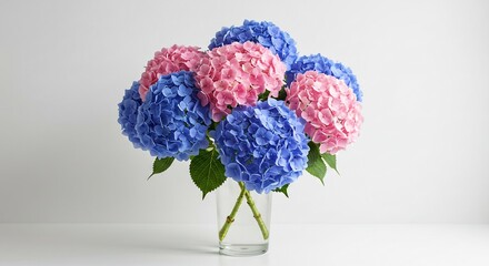 瑞々しいピンクと青のアジサイが透明な花瓶に飾られ柔らかな光が優しく包む美しい花束. AI Generated