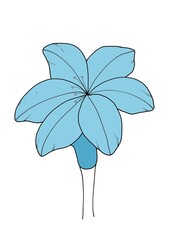 simple image of flowers