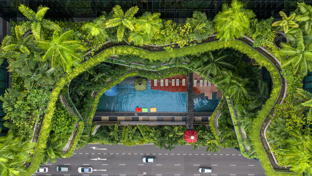 Aerial view of lush greenery enveloping the swimming pool atop 3 Upper Pickering Street, a vibrant oasis in the urban landscape, Singapore, Central Singapore Community Deve, Singapore.
