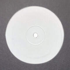 vinyl record with blank label and black sleeve