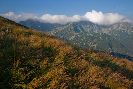 View of golden grass blowing in the wind on a hillside, with mountains shrouded in mist under a clear blue sky in Zuberec, Zilina Region, Slovakia.