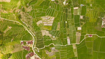Top view of farmland with planting vegetables. Agricultural landscape in Sumatra, Indonesia.