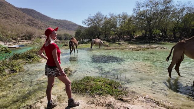 Woman in a red hat looking at dromedary camels wading and drinking in the green waters of Wadi Darbat, Dhofar, Oman, against a tranquil desert oasis landscape