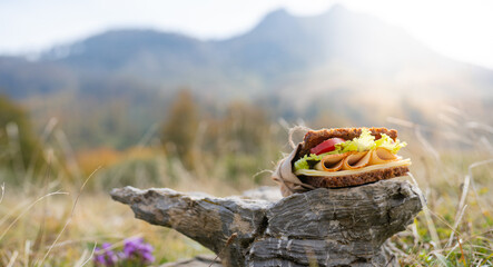 Rustic sandwich with cheese, vegetables, and cold cuts placed on a rock outdoors, with soft-focus nature background creating a peaceful picnic atmosphere