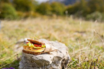 Rustic sandwich with cheese, vegetables, and cold cuts placed on a rock outdoors, with soft-focus nature background creating a peaceful picnic atmosphere