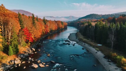 Aerial shot of river winding through autumn forest — cinematic color harmony - Powered by Adobe