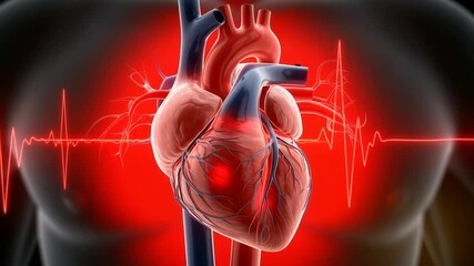 Animated heart beating with pulsating energy for medical concepts