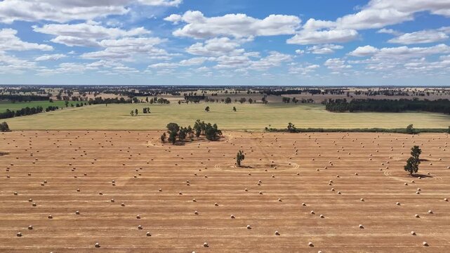 Aerial view of straw bales across harvested paddock