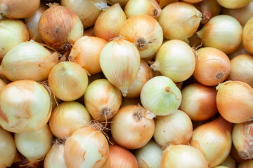 A top down view of a pile of yellow onion, seen at the farmers market.