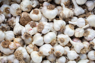 A top down view of a pile of garlic, seen at the farmers market.