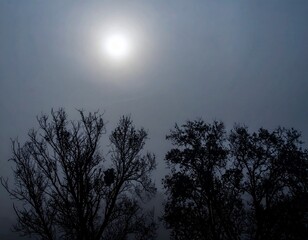 Naklejka premium moon in the sky