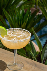 Classic Margarita