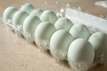 A view of a plastic carton of blue heirloom eggs.