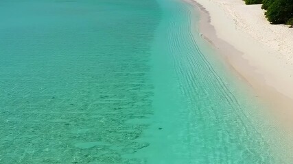 Aerial shot of turquoise ocean meeting white sandy beach with green vegetation
