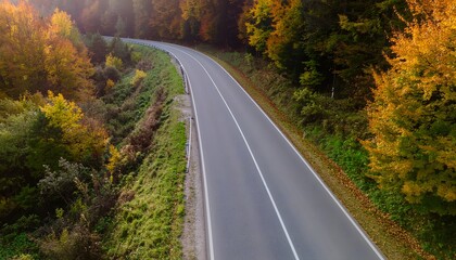 Empty asphalt road curving through a vibrant autumn forest from above