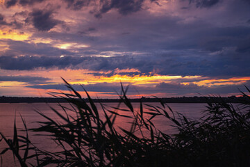 Sunset Lake View With Reeds