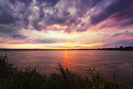 Sunset Lake View With Reeds - Powered by Adobe