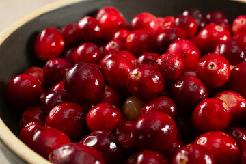 A closeup view of a bowl of raw cranberries.