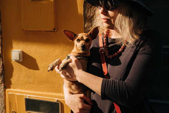 Woman holding Miniature Pinscher against yellow wall in sunlight