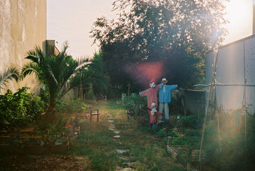 Scarecrows Standing Guard in a Community Garden 