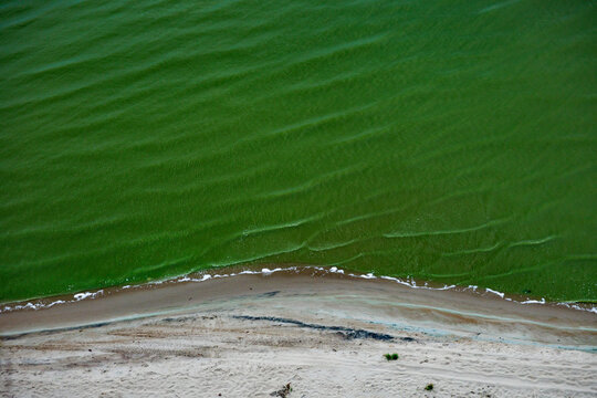 Vibrant Unusual Green Water Meets Sandy Shore at a Coastal Location