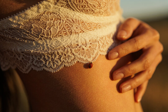 Ladybug Resting on a Person's Shoulder During Sunset Outdoors