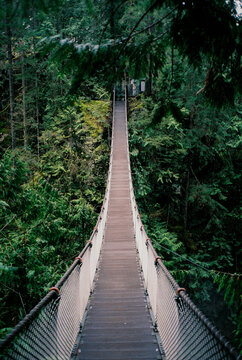Suspension bridge through the forest in  Vancouver in summer 