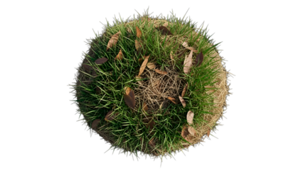 Green grass sphere with scattered leaves, beautiful nature globe, isolated on black