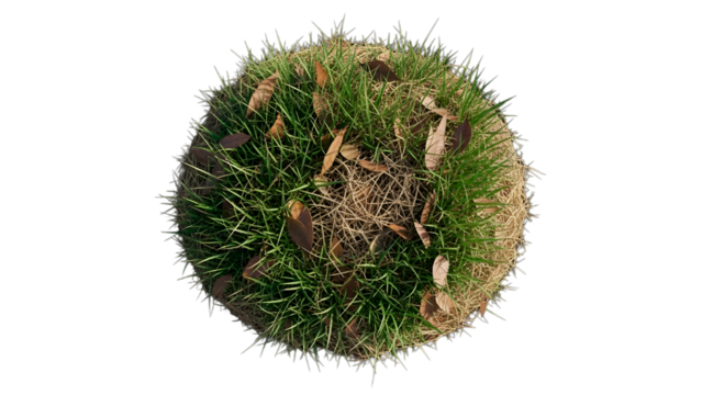 Green grass sphere with scattered leaves, beautiful nature globe, isolated on black - Powered by Adobe