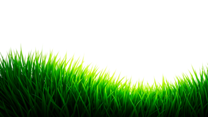 Vibrant green grass, perfect for overlaying product mockups and lawn care advertising