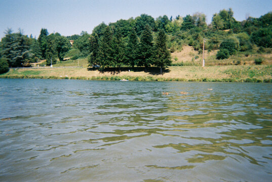 Calm lake Surrounded by Trees on a Sunny Day