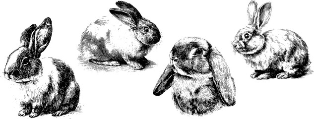 Vintage Engraved Rabbits Set Vector — Retro Etching Bunny Illustrations, Black and White Animal Clipart Collection