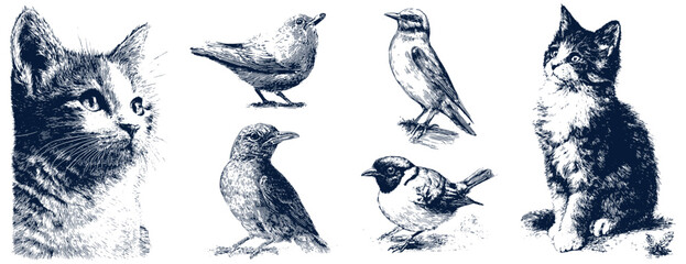 Vintage Engraved Animals Set Vector — Cat and Birds Retro Etching Illustration, Black and White Clipart Collection