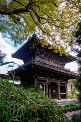 Fototapeta premium 鎌倉251121 英勝寺12 山門