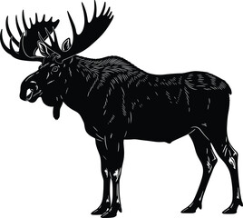 Majestic Bull Moose Black Silhouette Vector Illustration with Large Antlers and Detailed Outline for North American Wildlife and Nature Design Projects