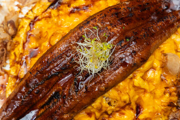 Grilled eel glazed with dark sauce served on scrambled egg, topped with sprouts on a plated dish.