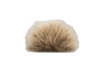 Fluffy beige fur texture with transparent background